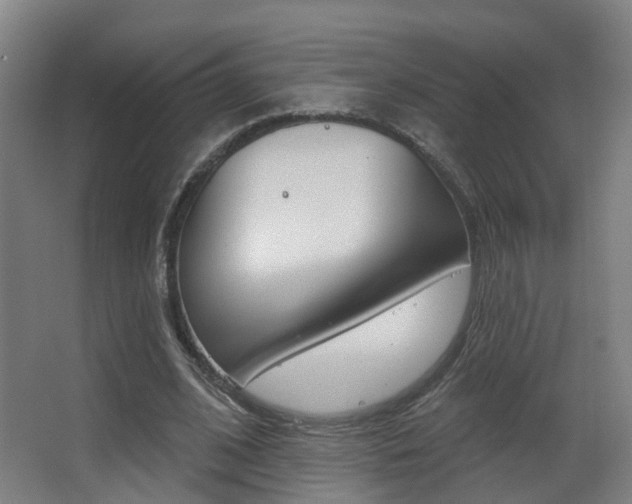 X0000062860584200601130950