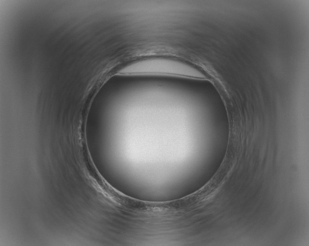 X0000062860585200601130950