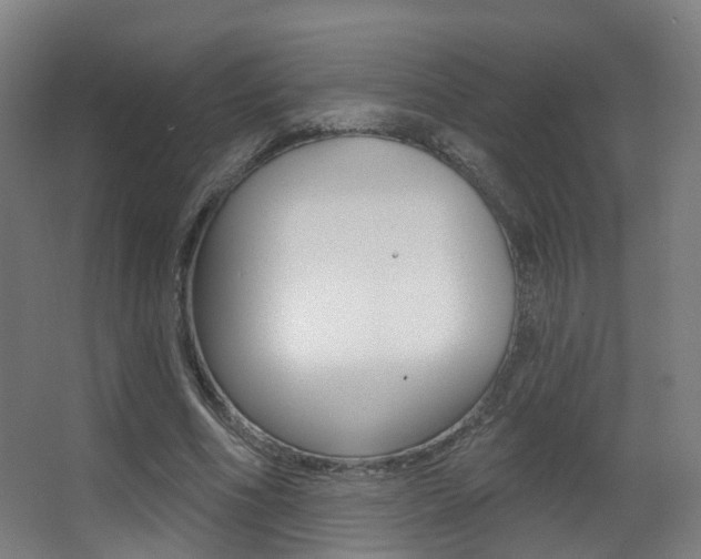 X0000062860586200601130950