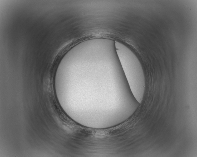 X0000062860587200601130950