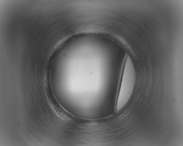 X0000062860588200601130950