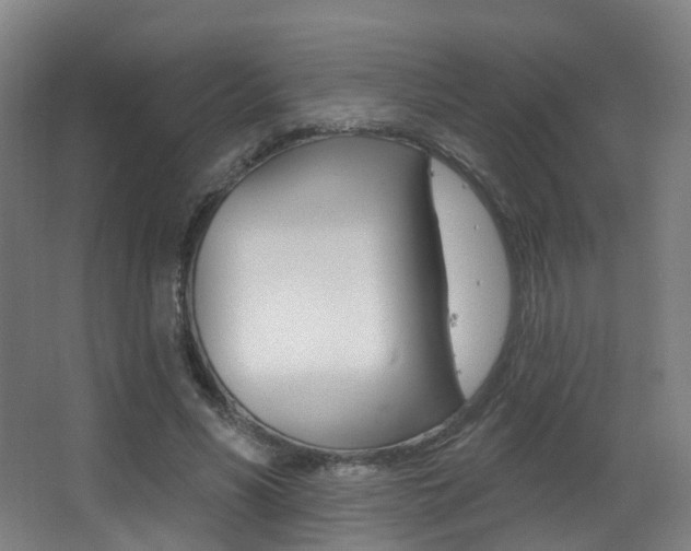 X0000062860590200601130950