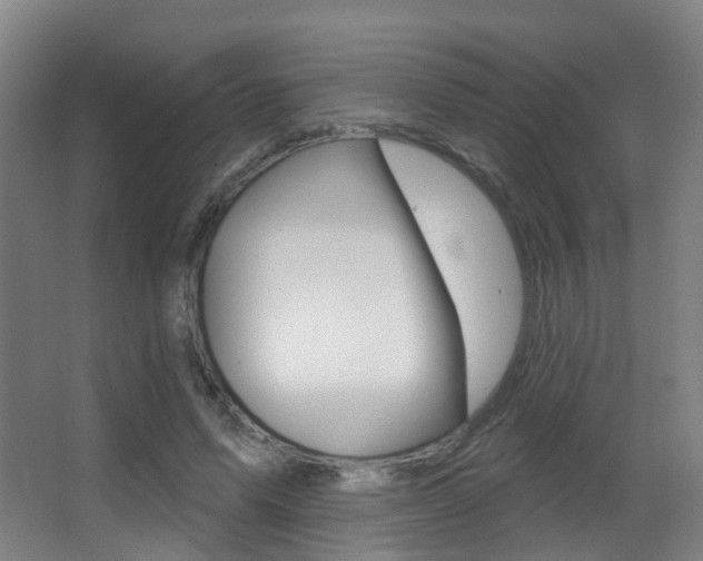 X0000062860591200601130950
