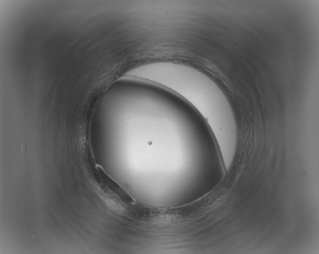X0000062860593200601130950
