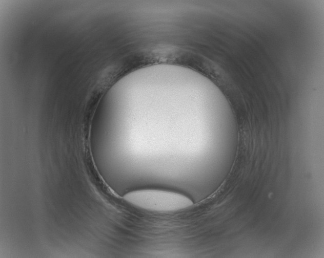X0000062860594200601130950