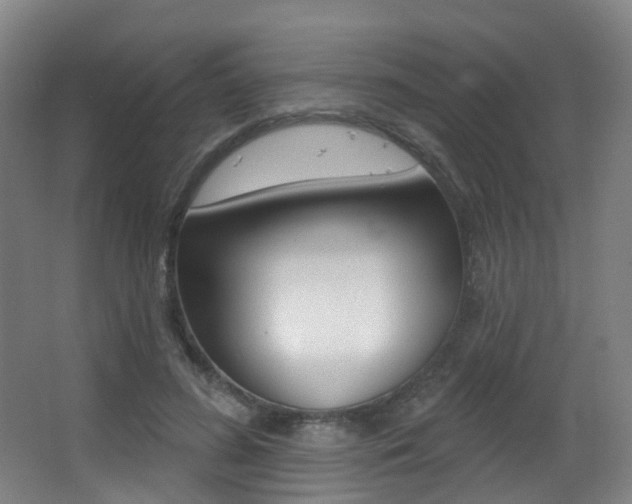 X0000062860596200601130950