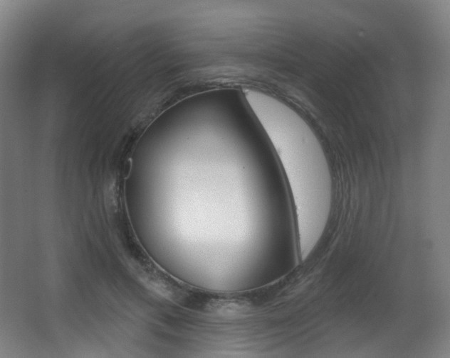 X0000062860597200601130950