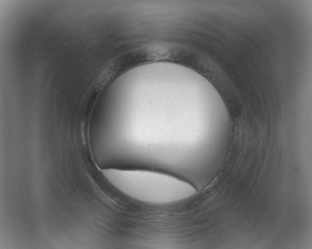 X0000062860598200601130950