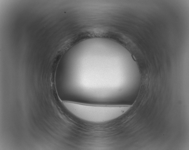X0000062860599200601130950