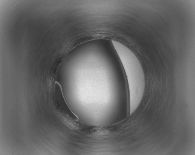 X0000062860601200601130950