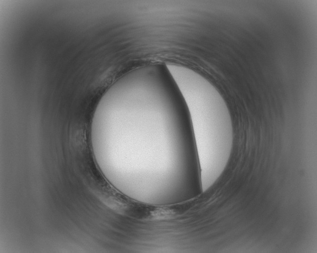 X0000062860603200601130950