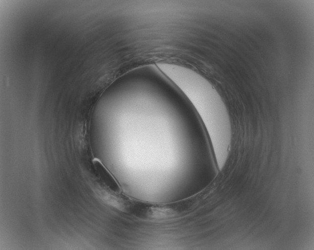 X0000062860605200601130950