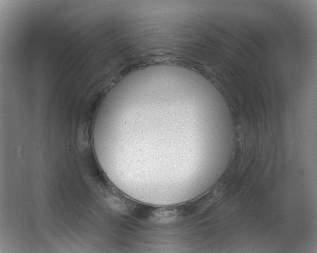 X0000062860606200601130950