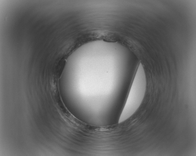 X0000062860607200601130950