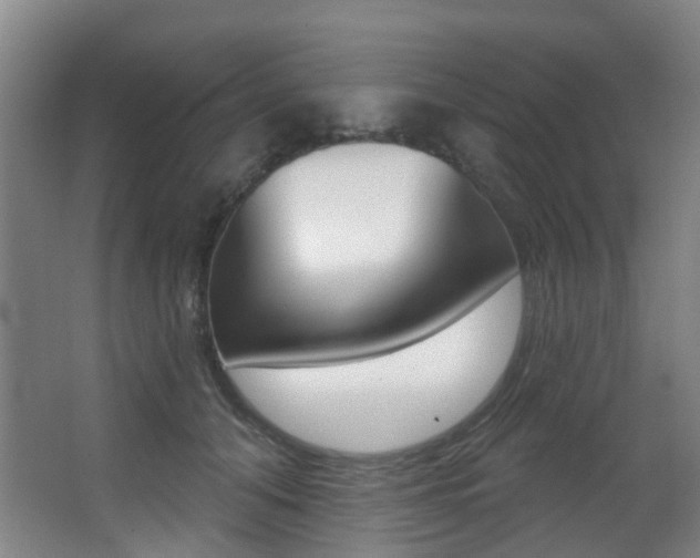 X0000062860608200601130949
