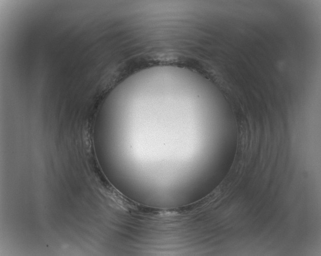 X0000062860609200601130949