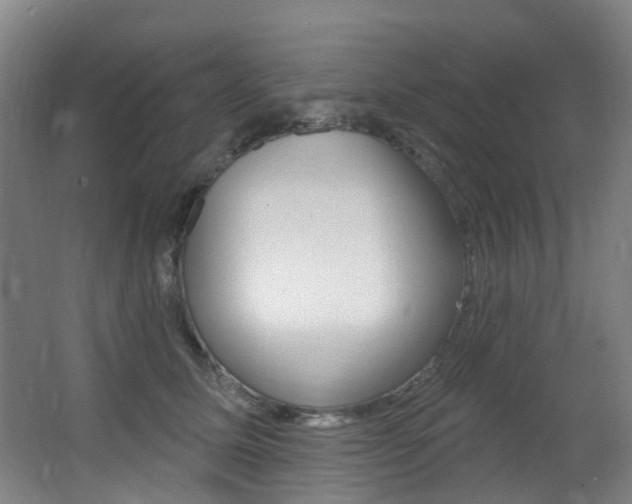 X0000062860611200601130949