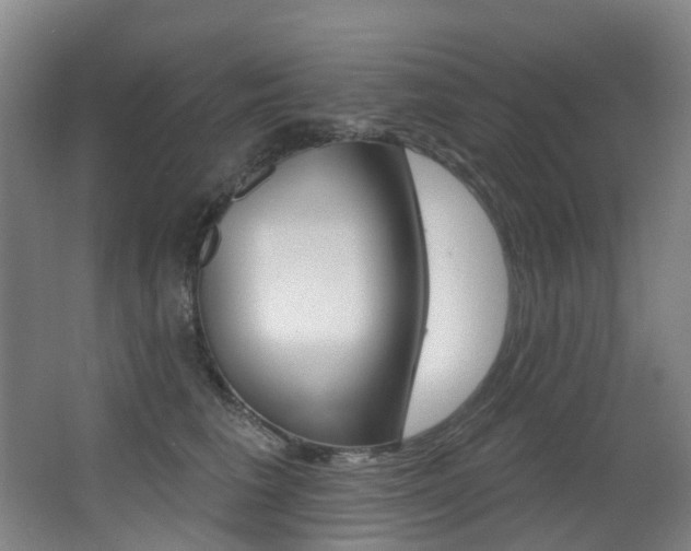 X0000062860613200601130949