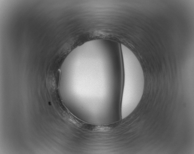 X0000062860617200601130949