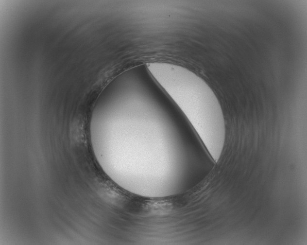 X0000062860619200601130949