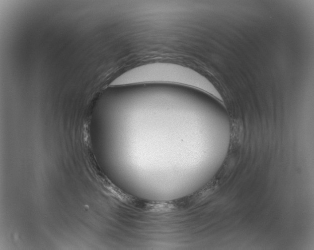 X0000062860621200601130949