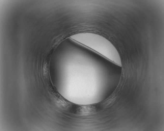 X0000062860623200601130949