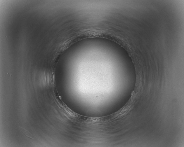 X0000062860624200601130949