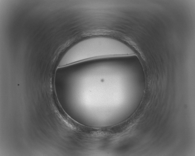 X0000062860633200601130949