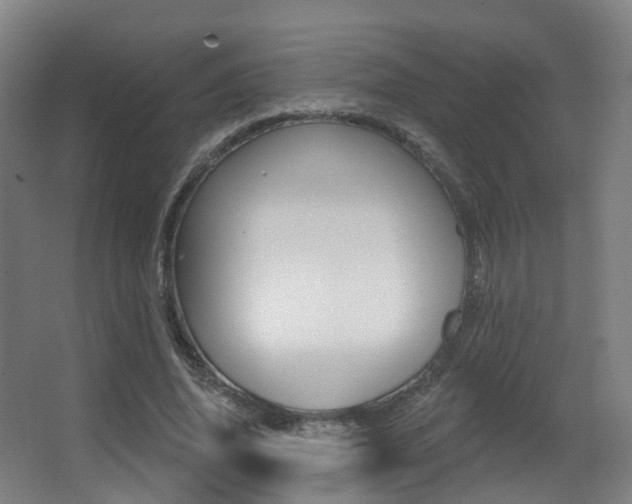X0000062860636200601130949