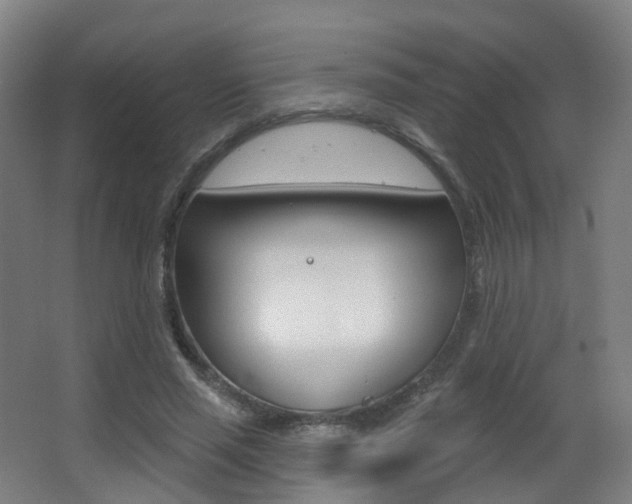 X0000062860637200601130949