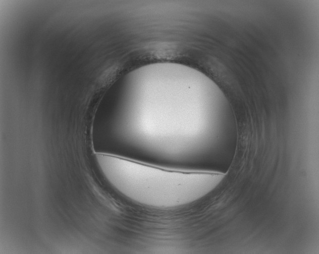 X0000062860639200601130949