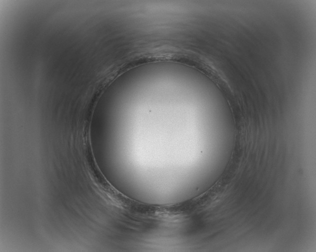 X0000062860641200601130949