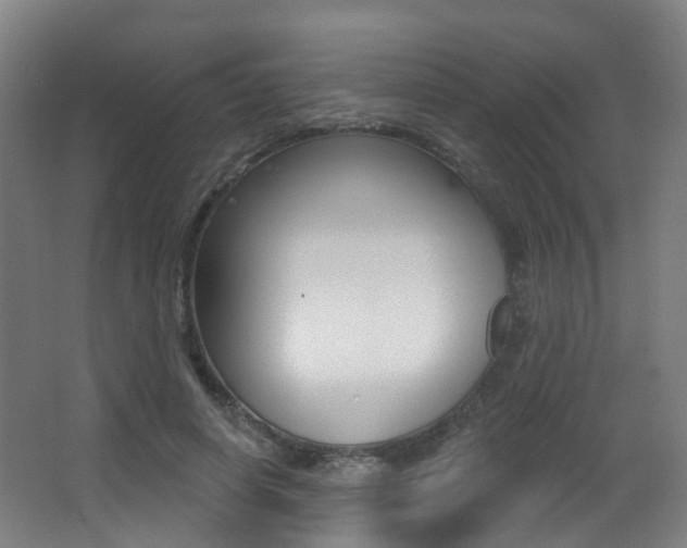 X0000062860642200601130949
