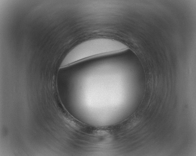 X0000062860649200601130949