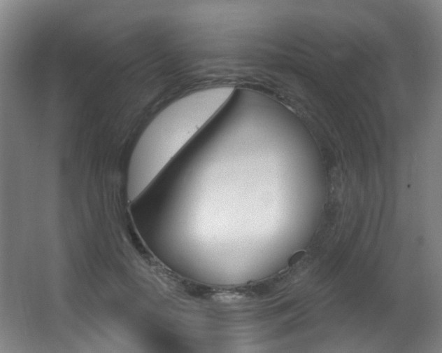 X0000062860650200601130949