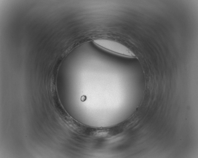 X0000062860651200601130949
