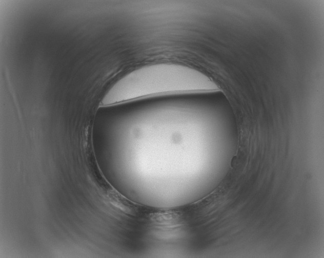 X0000062860652200601130949