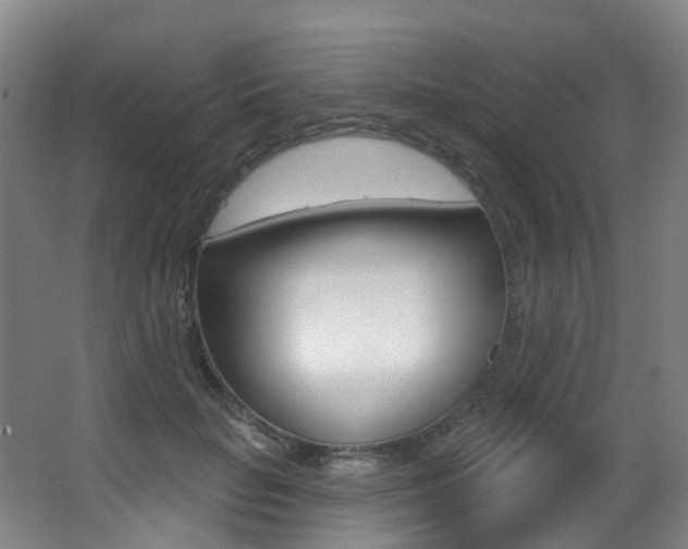 X0000062860653200601130949