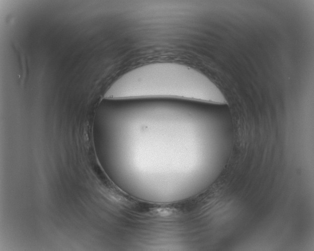 X0000062860654200601130949