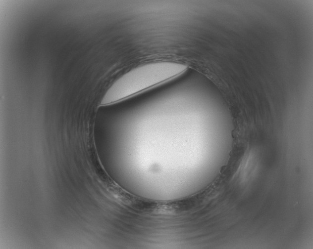 X0000062860656200601130949