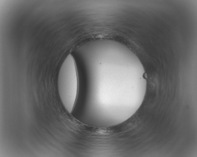 X0000062860657200601130949