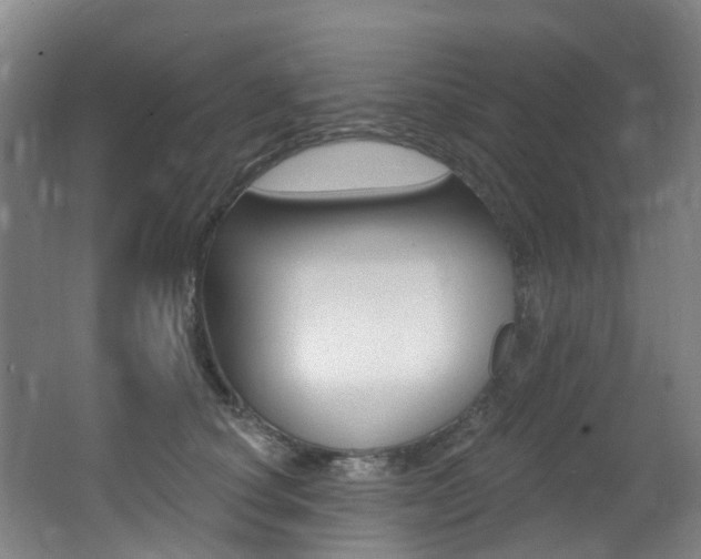X0000062860660200601130949