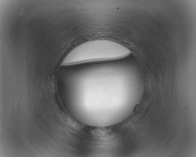 X0000062860661200601130949
