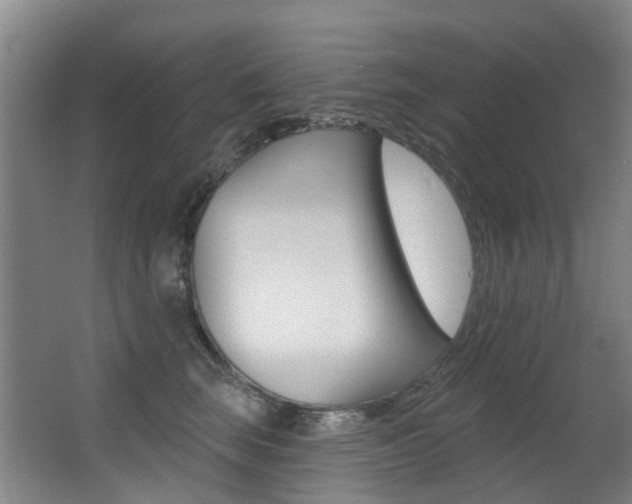 X0000062860663200601130949