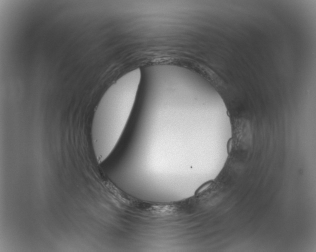 X0000062860667200601130949