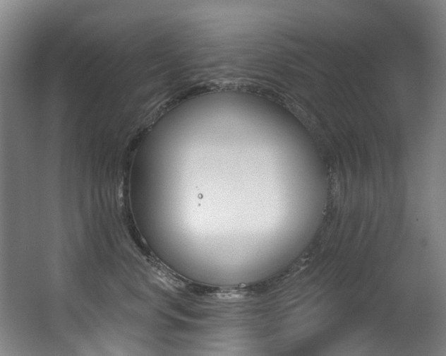X0000062860668200601130949