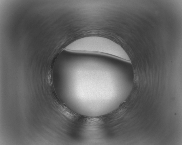 X0000062860669200601130949