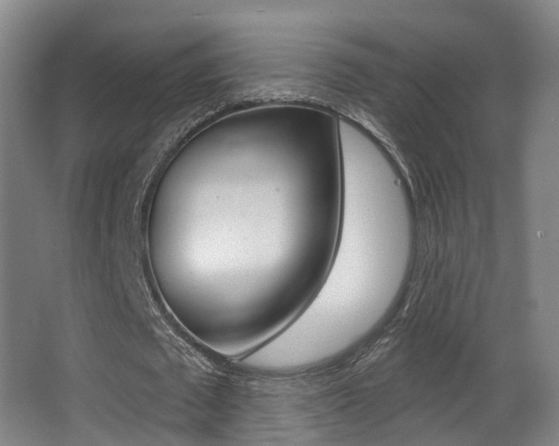 X0000062860673200601130948