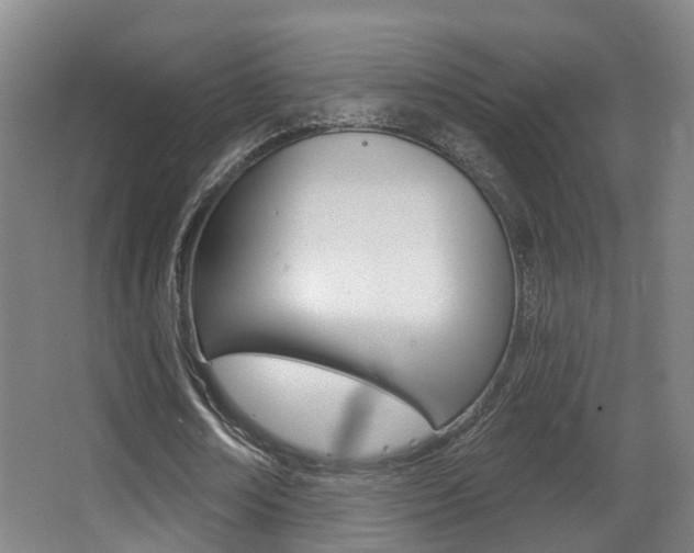 X0000062860674200601130948
