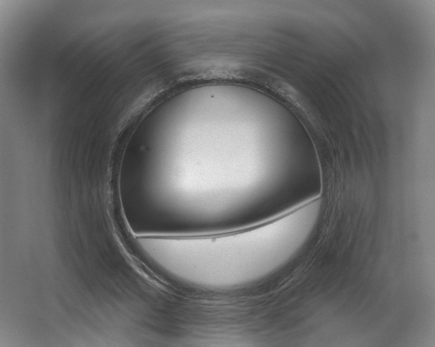 X0000062860677200601130948